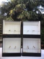 TT kooien, Dieren en Toebehoren, Vogels | Hokken en Kooien, Ophalen of Verzenden, Gebruikt, Hout, Vogelkooi