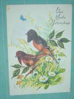 2) Kleuren ansichtkaart Vogels, Ophalen of Verzenden, 1980 tot heden, Gelopen, Vogel