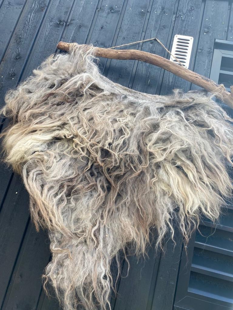 Unieke schapenvacht wanddecoratie op drijfhout, Ophalen, Wandhanger, Zo goed als nieuw, Natuurlijk materiaal