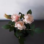 IKEA FEJKA kunstplant roos in zwarte pot, Ophalen of Verzenden, Gebruikt, Binnen