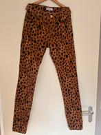 Fabienne Chapot mooie broek/ maat 27, Kleding | Dames, Broeken en Pantalons, Bruin, Ophalen of Verzenden, Zo goed als nieuw, Maat 36 (S)