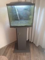 Leeg Aqaurium, Dieren en Toebehoren, Ophalen, Gebruikt, Leeg aquarium