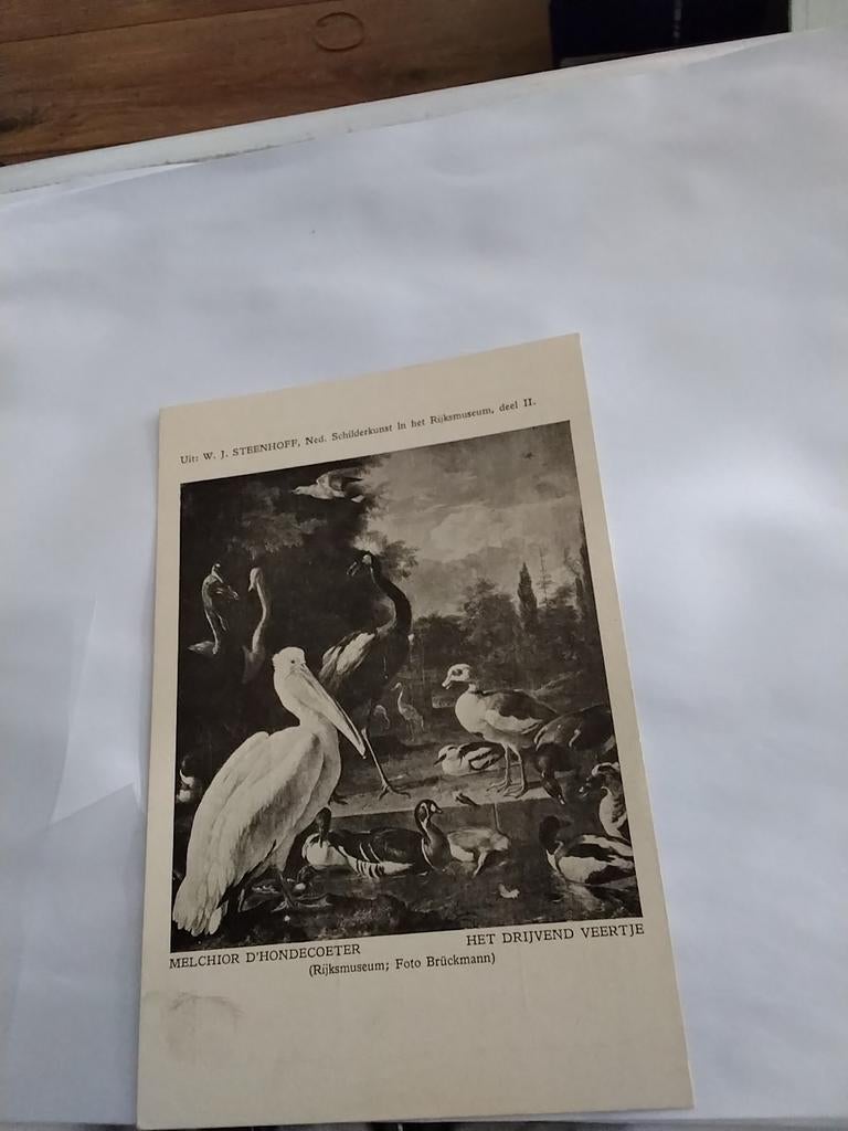 MELCHIOR D'HONDECOETER / HET DRIJVEND VEERTJE, Ophalen of Verzenden, Sterren en Beroemdheden