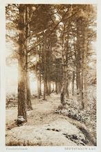 Beetsterzwaag - Fundatiebosch, Verzenden, Voor 1920, Gelopen, Friesland