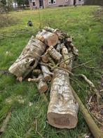 Berken hout, Minder dan 3 m³, Ophalen