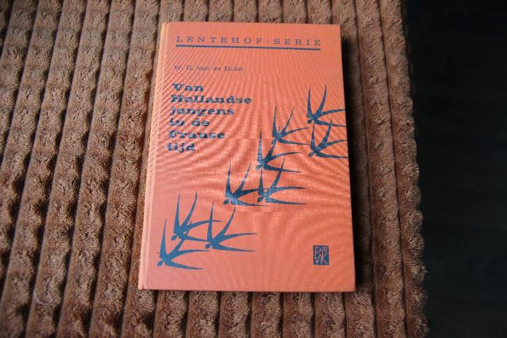Van Hollandse jongens in een Franse tijd, Boeken, Kinderboeken | Jeugd | 10 tot 12 jaar, Gelezen, Ophalen of Verzenden