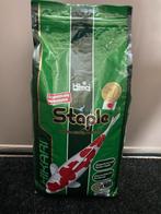 Hikari Staple Koivoer, Ophalen of Verzenden, Vis