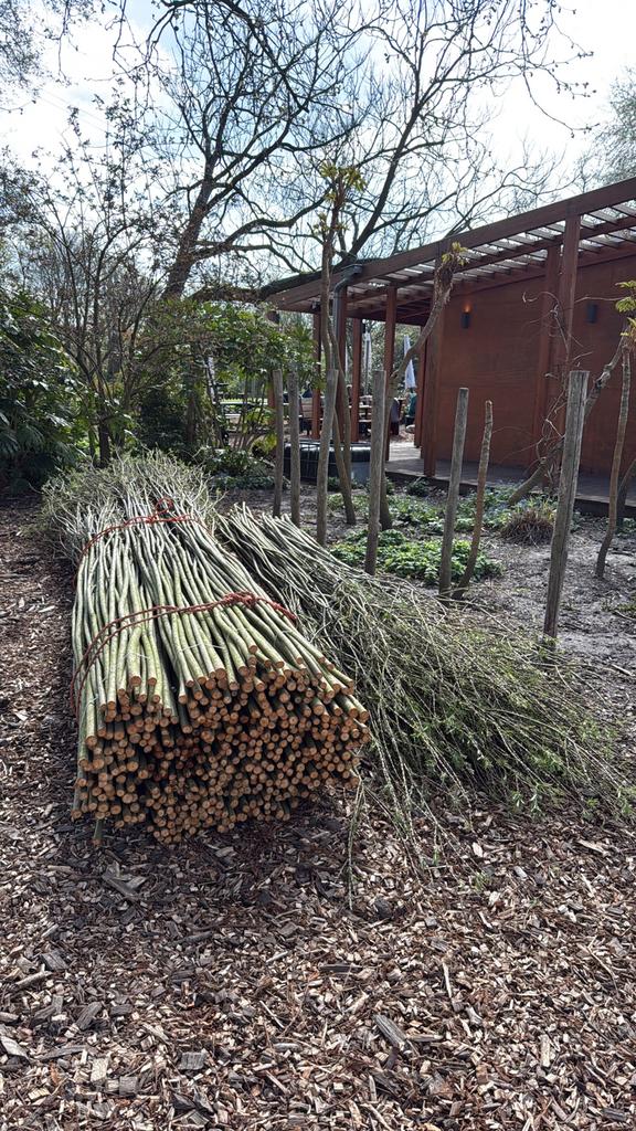Wilgentakken te koop, Ophalen, Zo goed als nieuw, IJzer