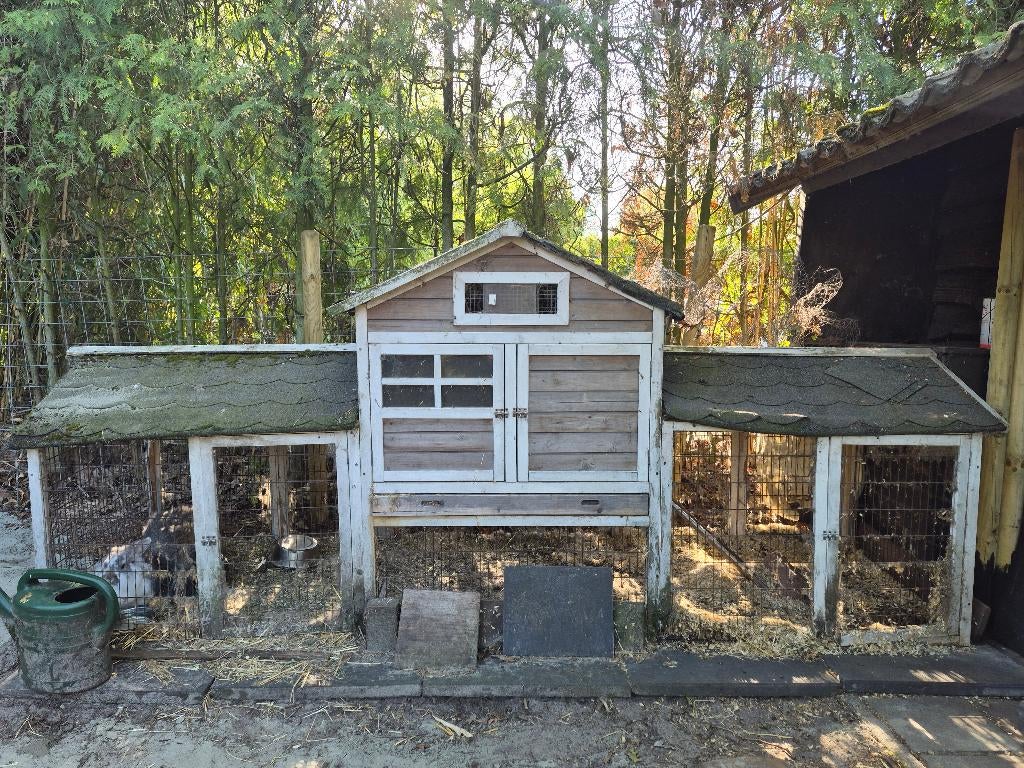 konijnen/kippenhok met ren, Dieren en Toebehoren, Ophalen, 90 cm of meer, Konijn, Ren