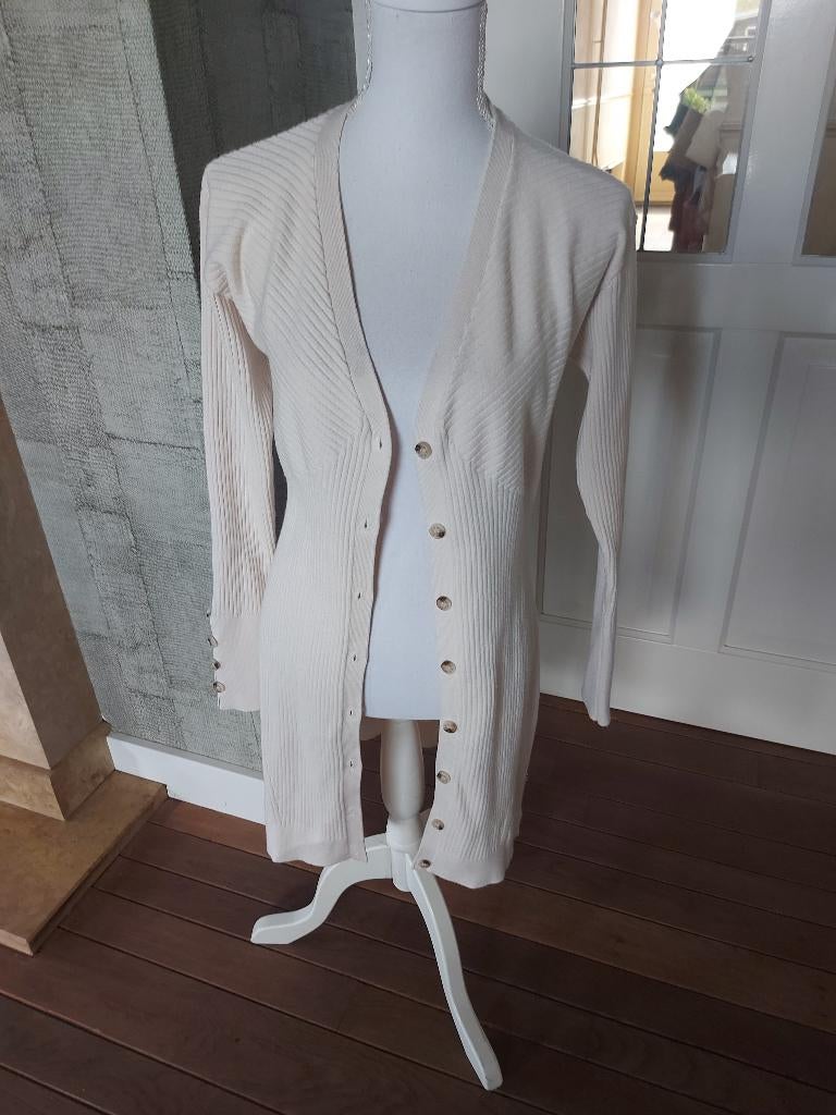 PRACHTIG CREME VEST VH MERK JOSH V MAAT M NIEUWSTAAT, Kleding | Dames, Truien en Vesten, Maat 38/40 (M), Beige, Ophalen of Verzenden