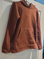 Trui hoody, Ophalen of Verzenden, Zo goed als nieuw, Jongen, Trui of Vest