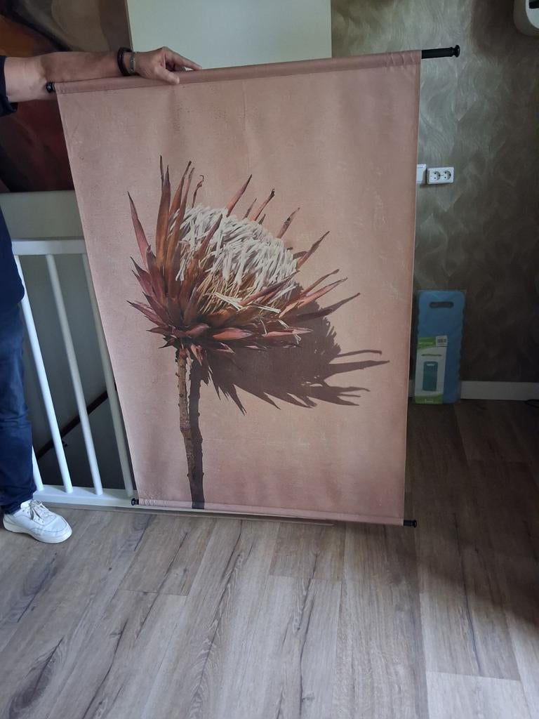 Rustige kleur wandkeed, Ophalen, 95 cm, 135 cm, Textiel