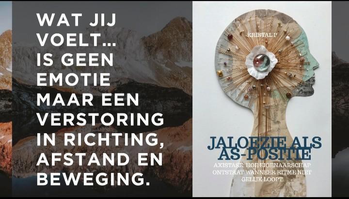 Jaloezie als as-positie: Nieuwe waarnemingsgeometrie, Boeken, Psychologie, Zo goed als nieuw, Functieleer of Neuropsychologie