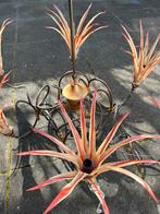 De laatste Kroonluchters van  Rob Leben/Queens Gallery OP=OP, N.b., N.b., Nieuw, Ophalen of Verzenden