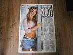 mooie  xl kalender poster 2001    Britney Spears, Verzamelen, Verzenden, Zo goed als nieuw, A1 t/m A3, Muziek