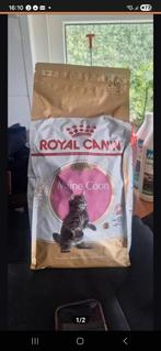 2 kg Royal Canin Kitten, Dieren en Toebehoren, Dierenvoeding, Ophalen of Verzenden, Kat
