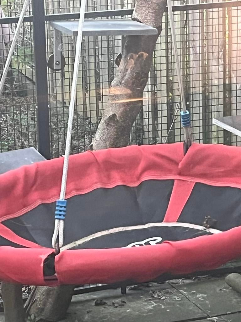 Schommel voor kinderen - Leuk voor in de tuin!, Ophalen of Verzenden, Gebruikt