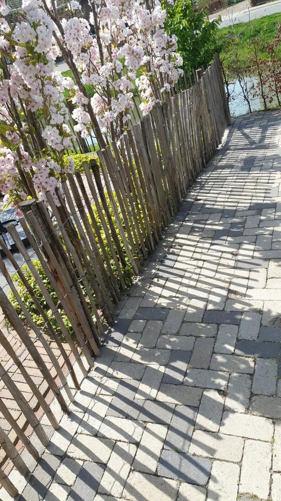 Schapenhek 6 meter met poort, Tuin en Terras, Schuttingen, Ophalen, Hout, Minder dan 3 meter, 1 tot 2 meter