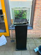 Aquarium 40x40x40 met pomp, Ophalen, Gebruikt, Sera, Verwarming