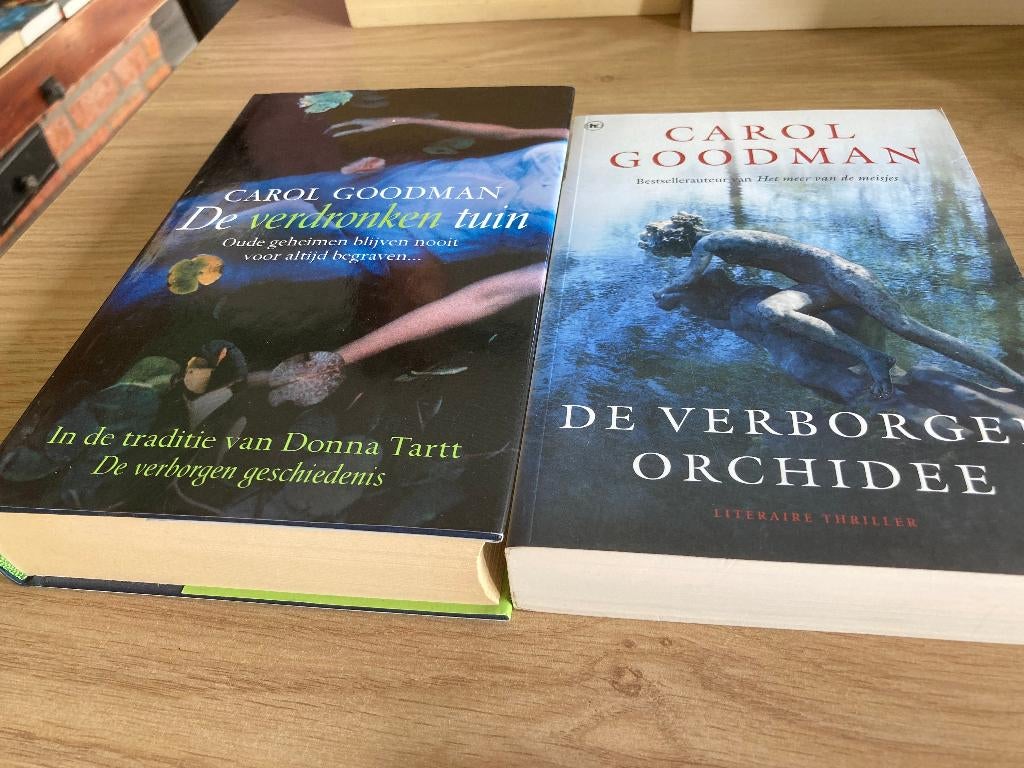 2 boeken Carol Goodman, Boeken, Ophalen of Verzenden, Zo goed als nieuw