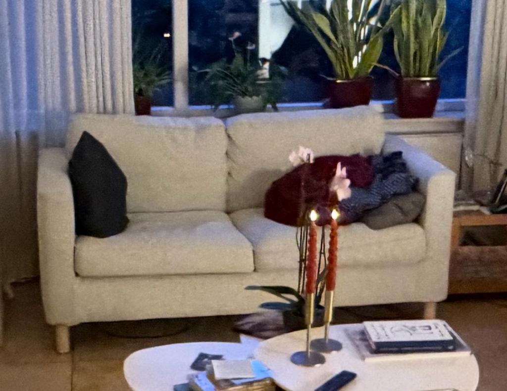 In zeer goede staat Ikea bank Parup 2 zits, Ophalen, Zo goed als nieuw, 75 tot 100 cm, Tweepersoons