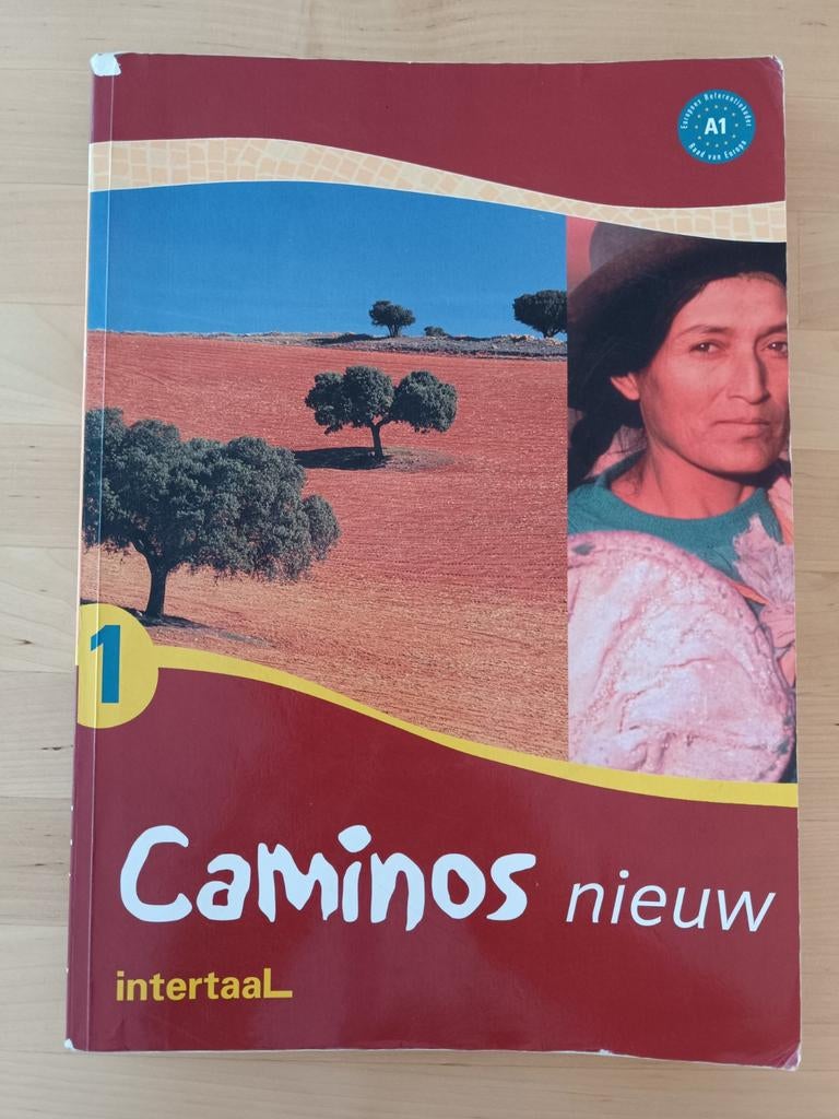 Camino's Nieuw 1 - Spaans leerboek A1 Intertaal, Boeken, Gelezen, Non-fictie, Ophalen of Verzenden, Intertaal