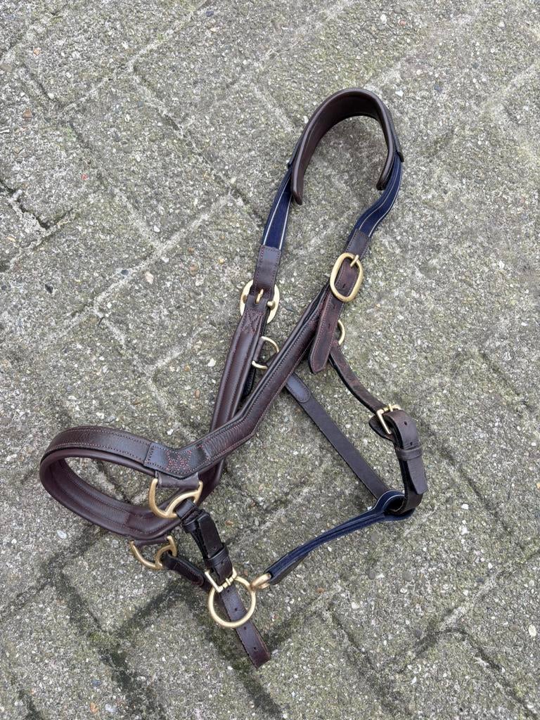Halster set met karabijn.-Crystal- zacht onderlegd - dierenvriendshop