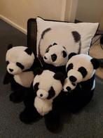 Panda pluche knuffels en panda kussen, Ophalen of Verzenden, Zo goed als nieuw, Overige typen