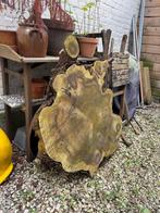 Houten schijf boomstam, Ophalen, Gebruikt, Minder dan 180 cm, Overige typen