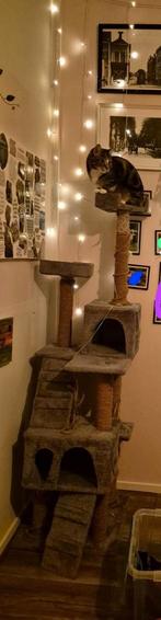 Krabpaal, gratis ophalen, Ophalen