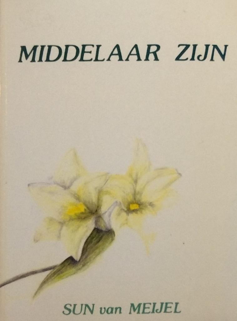 Middelaar Zijn - Sun van Meijel, Ophalen of Verzenden, Zo goed als nieuw, Sun van Meijel