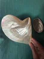 Grote Parelmoer Schelp & Klein Schelpje - Erfstuk, Ophalen of Verzenden, Gebruikt