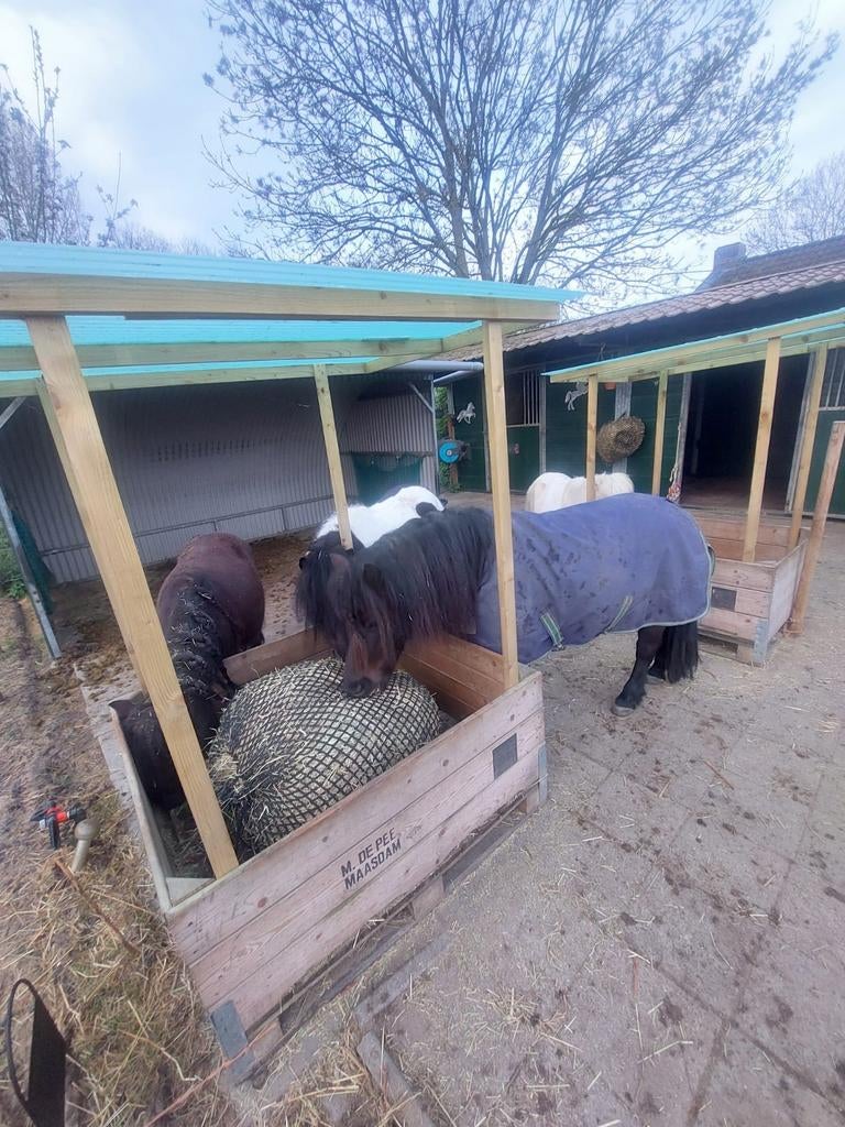 Plekje  vrij, Dieren en Toebehoren, 2 of 3 paarden of pony's