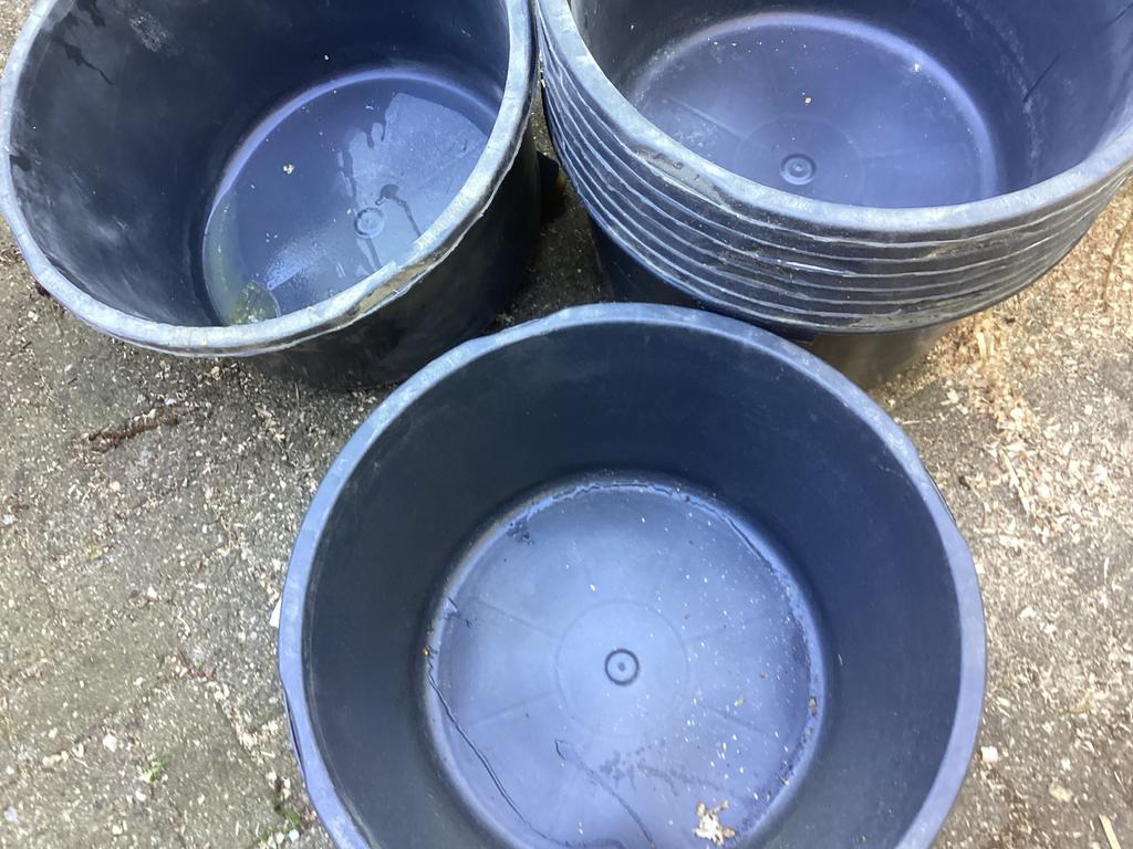 10x Speciekuipen 65 liter - Schoon en Gebruikt, Tuin en Terras, Bloembakken en Plantenbakken, Ophalen, Kunststof, Gebruikt, Rond