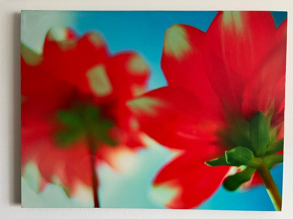 Bloemen schilderij, Ophalen