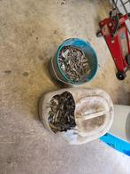 Balanceer lood zink, Auto diversen, Autogereedschap, Ophalen