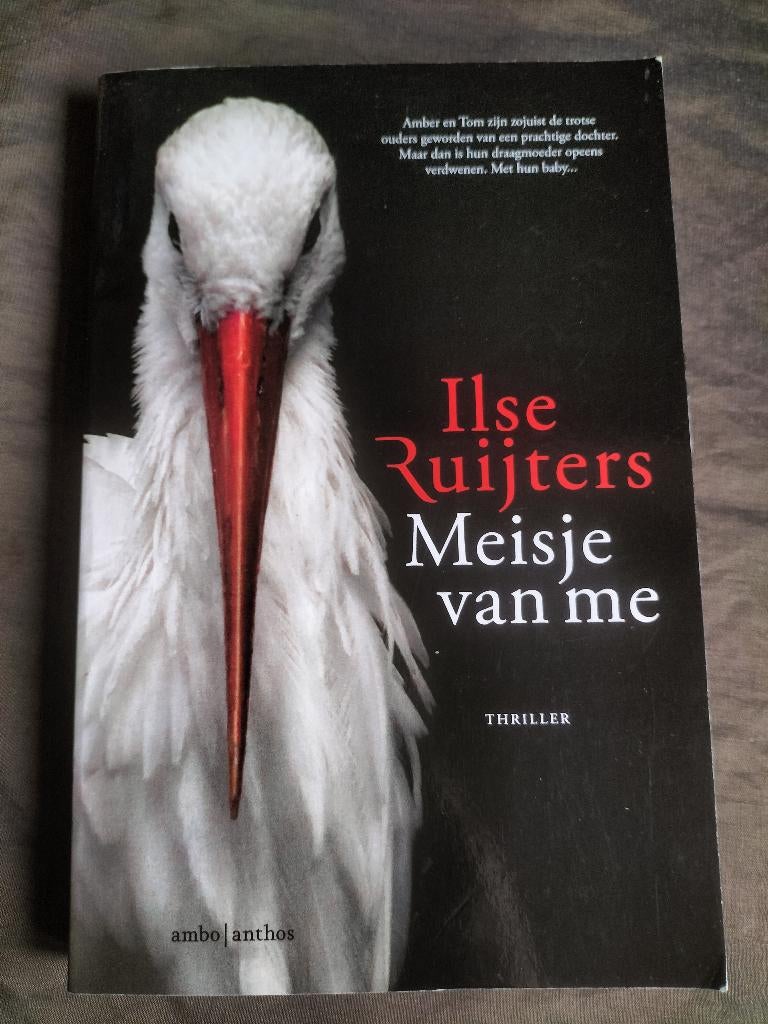 Ilse Ruijters - Meisje van me, Ophalen of Verzenden, Zo goed als nieuw, Ilse Ruijters, Nederland