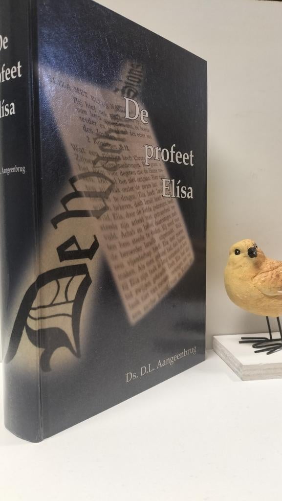 Aangeenbrug, Ds. D.L.; De profeet Elisa, Ophalen of Verzenden, Gelezen, Christendom | Protestants