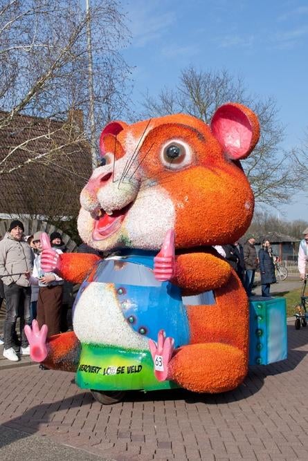 Carnavalswagen en kostuums, Ophalen, Zo goed als nieuw