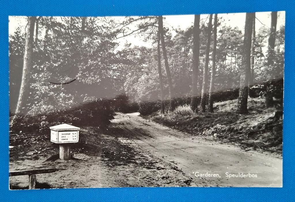 Ansichtkaart Garderen Speulderbos ANWB paddestoel, Ophalen of Verzenden, Gelopen, Gelderland