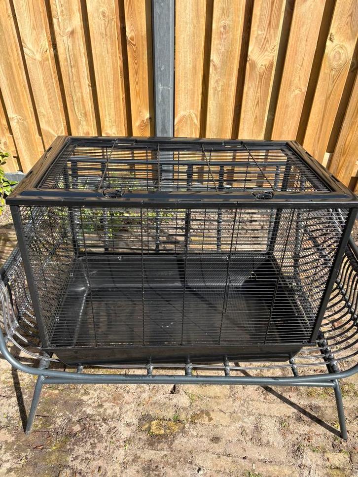 Knaagdierenkooi, Dieren en Toebehoren, Knaagdieren en Konijnen | Hokken en Kooien, Gebruikt, Kooi, Minder dan 60 cm, 75 tot 110 cm