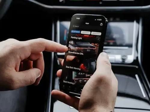VW/Audi/Seat/Skoda/BMW coderingen - VAG-opties!, Ophalen