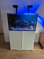 Red sea 250, Dieren en Toebehoren, Vissen | Aquaria en Toebehoren, Ophalen of Verzenden