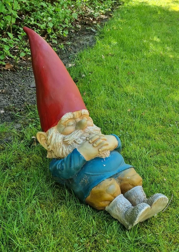 David de kabouter / Rien Poortvliet, Ophalen of Verzenden, Gebruikt, Overige typen