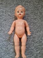 Wildebras pop, 35 cm, Ophalen, Pop