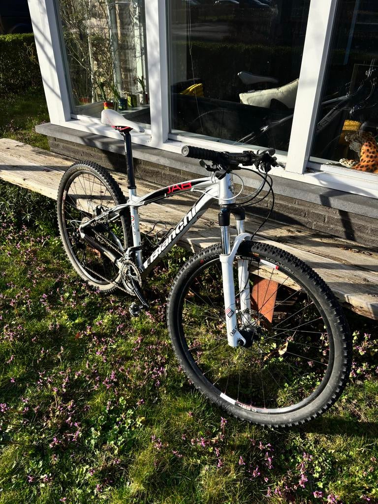 Bianchi mountainbike, Gebruikt, Hardtail, Heren, Ophalen