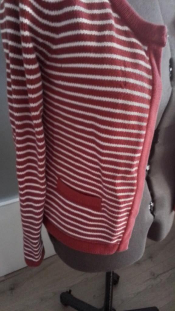 Mooi gestreept katoenen vest M/L, Kleding | Dames, Ophalen of Verzenden, Zo goed als nieuw, Rood