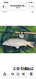 Penhengels ., Watersport en Boten, Ophalen of Verzenden, Overige typen