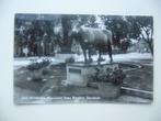 LEEUWARDEN  >  MONUMENT FRIES RUNDVEE STAMBOEK, Verzenden, 1940 tot 1960, Gelopen, Friesland