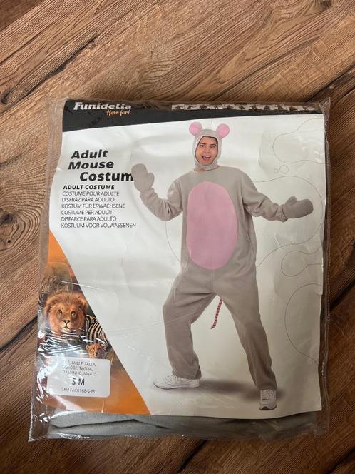 Mouse/Rat Carnival Costume, Kleding | Heren, Carnavalskleding en Feestkleding, Zo goed als nieuw, Kleding, Carnaval, Maat 48/50 (M)